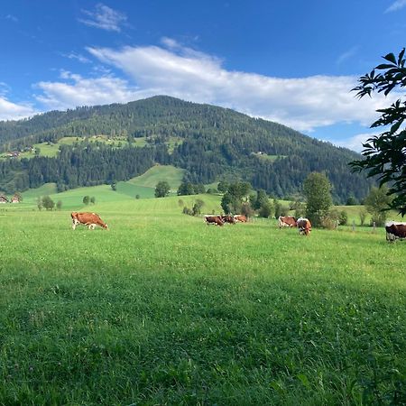 4 Elements Appartmenthaus Monarda Flachau Dış mekan fotoğraf