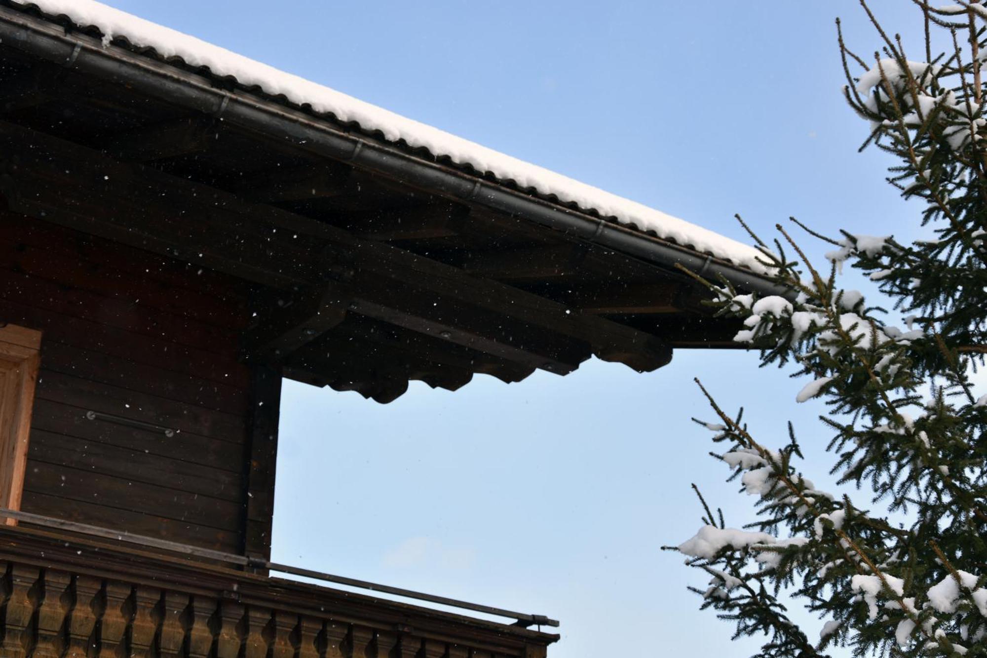 4 Elements Appartmenthaus Monarda Flachau Dış mekan fotoğraf